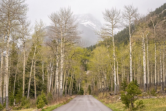 Endovalley_RMNP_2024_1