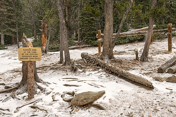 Eugenia_Mine_RMNP_2024_1