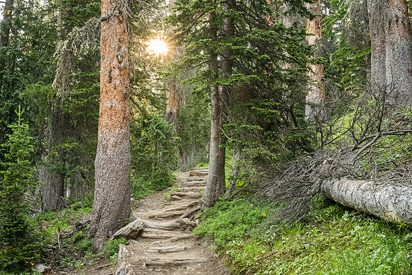 Ute_Trail_West_RMNP_2024_1