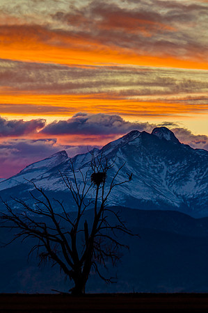 Longs Peak and Eagle at Sunset
