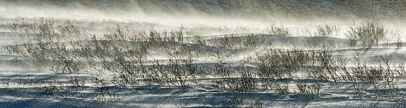 Guanella_Pass_2