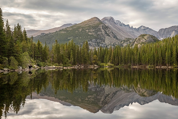 Moose_Bear_Lake_RMNP_2025_7