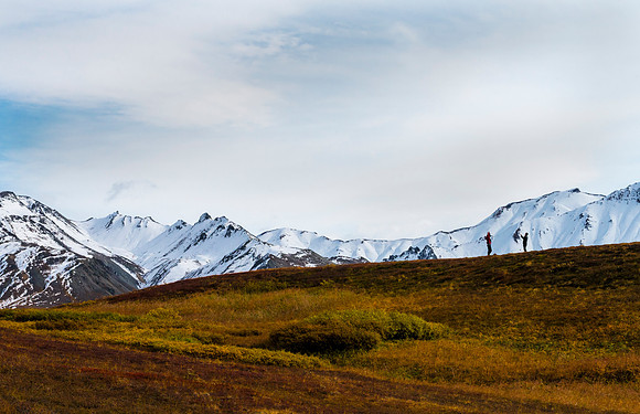 Tourists_in_Denali