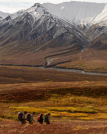 Denali_fall_color_3