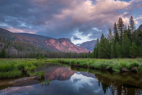 East_Inlet_Meadow_RMNP_2021_1