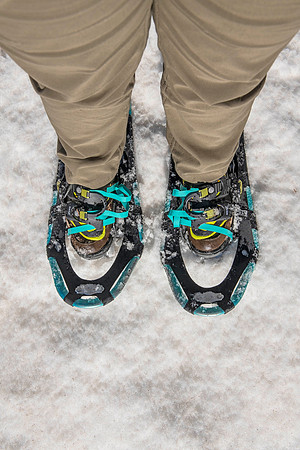 Snowshoes_IPW_2021_4