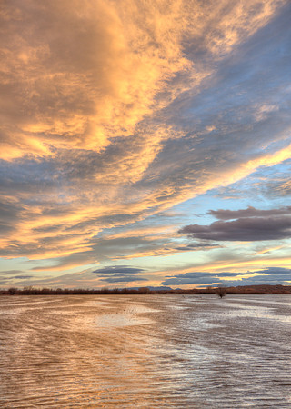 Bosque Sunset