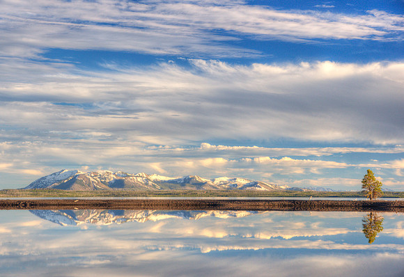 Yellowstone Reflections