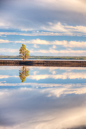 Yellowstone Reflections 2