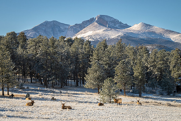 Elk_Longs_Peak_EP_2026_1