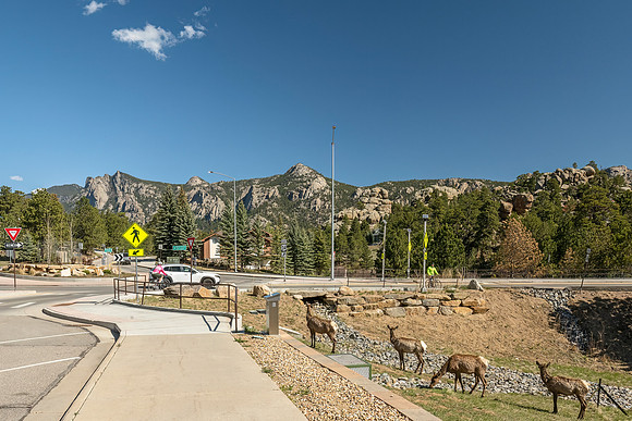 Elk_EP_2025_10