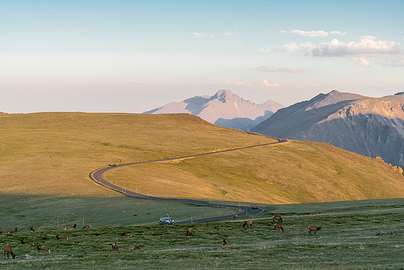 Elk_TRR_RMNP_2024_1