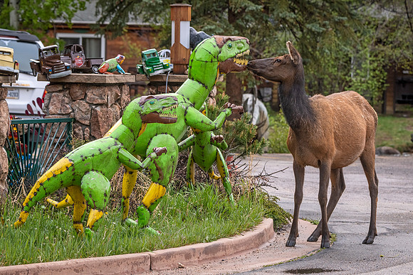 Elk_EP_2022_5