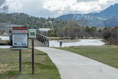 Elk_sign_EP_2024_1