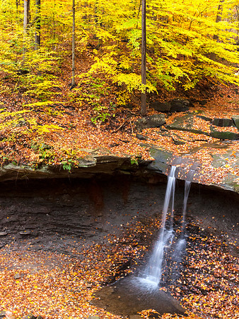 Blue_Hen_Falls_2012_2