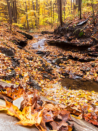 Stream_in_Cuyahoga_Valley_2012_1