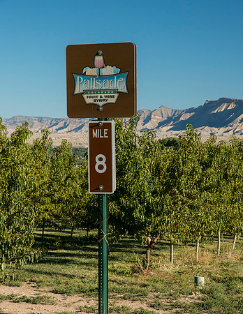 Palisade_Tour_2015_1