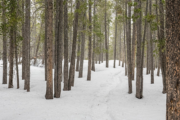 Bierstadt_Trail_RMNP_2024_3