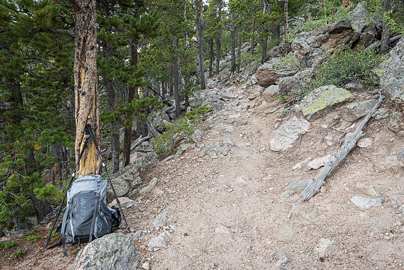 Twin_Sisters_Trail_RMNP_2026_5