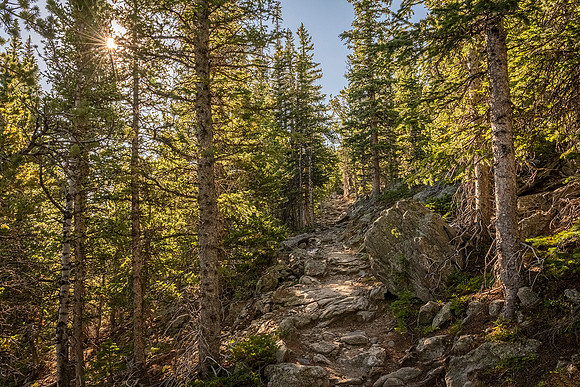 Twin_Sisters_Trail_RMNP_2026_3