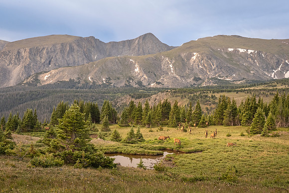 Elk_Ute_Trail_RMNP_2026_1