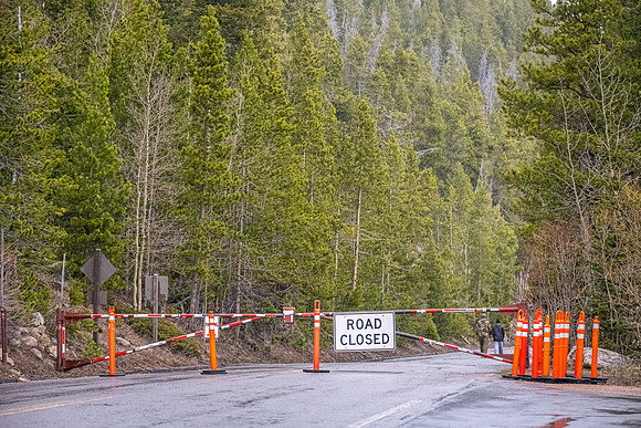 TRR_gate_RMNP_2024_1