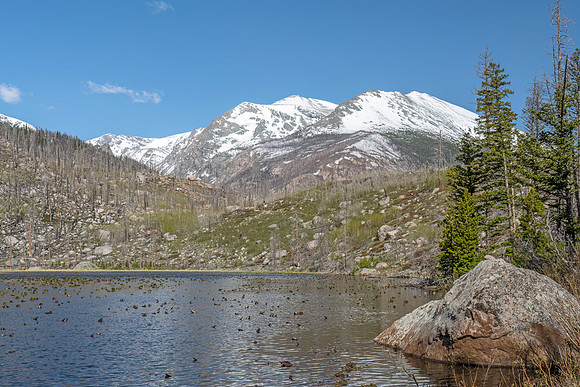 Cub_Lake_Loop_Trail_RMNP_2024_5