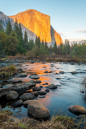 Golden_Glow_on_El_Capitan