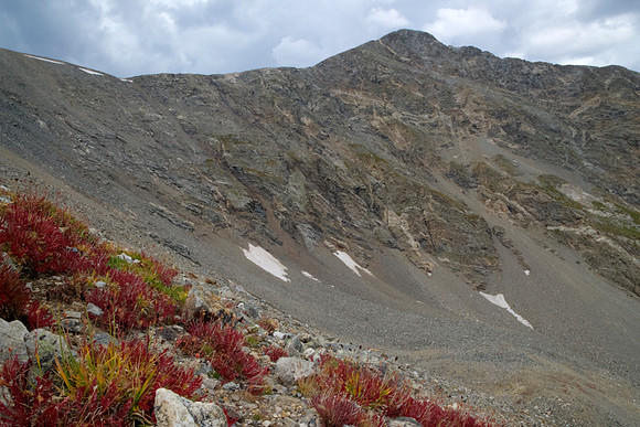 Fall Color at Torreys Peak