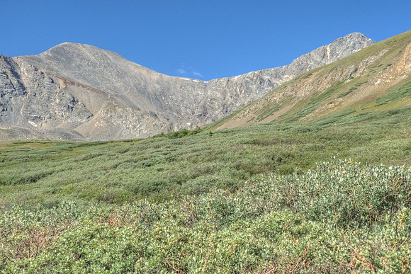 Willow Field up to Grays and Torreys Peaks