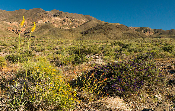Death_Valley_9