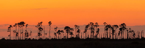 Big_Branch_Marsh_Sunset_Pano