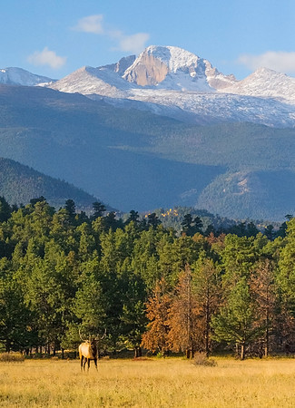 Elk_and_Longs_Peak