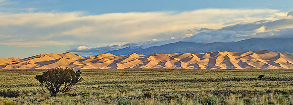 Dunes_and_Tree_Pano
