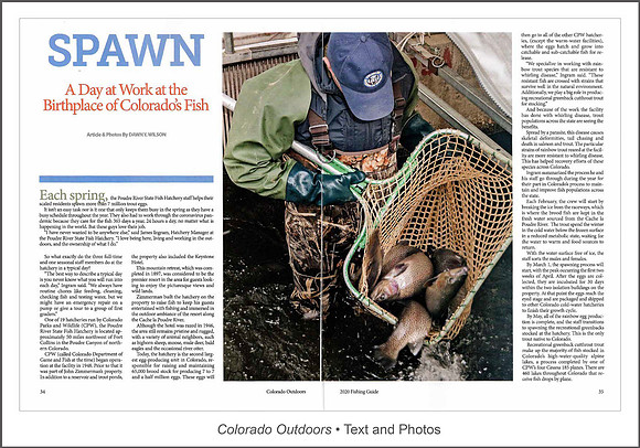 Full article: https://www.dawnwilsonphotography.com/co_outdoors_poudrefishhatchery_small.pdf