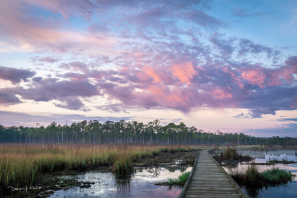 Big_Branch_Marsh_Boardwalk_Sunrise_2021_1