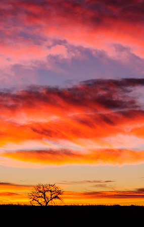Sunrise_At_Arsenal