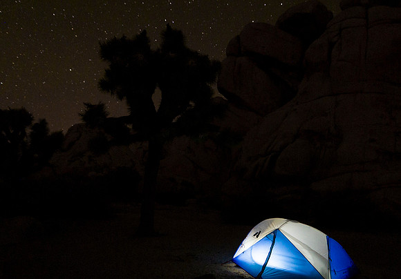 Joshua_Tree_National_Park_8