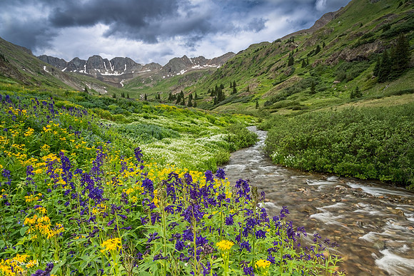 American_basin_2017_3