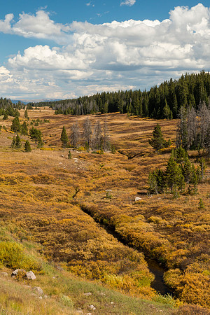 Fall_at_Rabbit_Ears_Pass_2