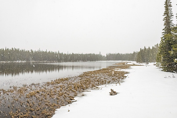 Bierstadt_Trail_RMNP_2024_5