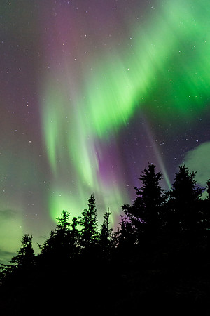 Northern_Lights_Denali_2017_1
