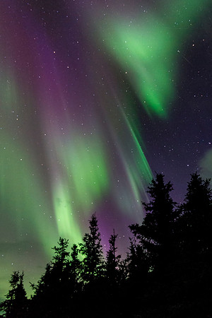 Northern_Lights_Denali_2017_2