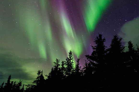 Northern_Lights_Denali_2017_3