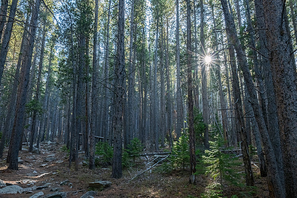 Storm_Pass_Trail_RMNP_2024_2