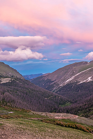 Elk_RMNP_2018_9
