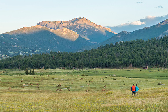 People_elk_RMNP_2016_1