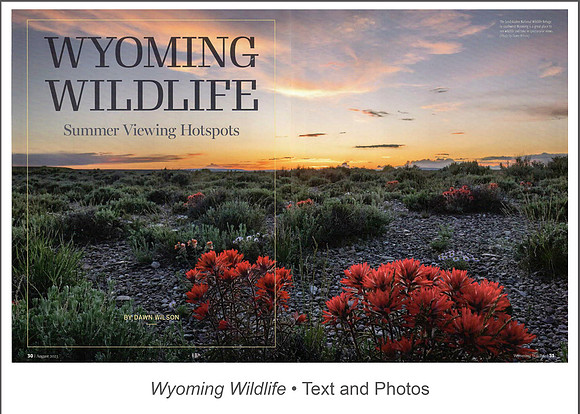 Full article: https://www.dawnwilsonphotography.com/wy_photo_hotspots_aug2023_full.pdf