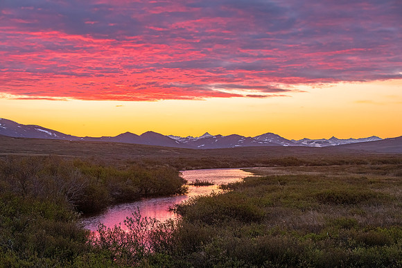 Sunrise_tundra_Nome_2023_2
