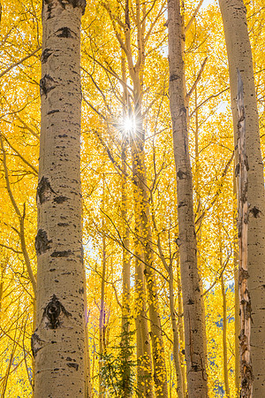Aspens_Million_Dollar_Highway_2019_2